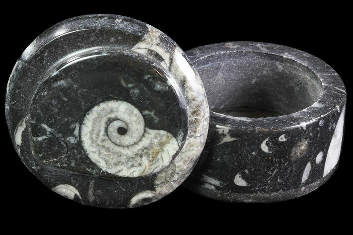 Small Fossil Goniatite Jar (Black) - Stoneware #66591